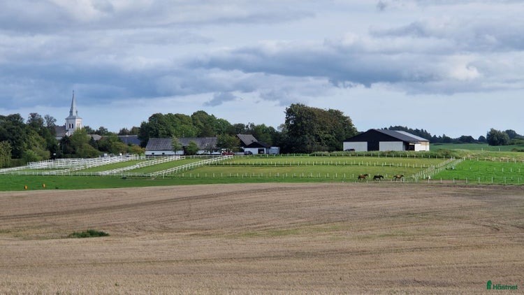 stallplats i Genarp - Annons 16