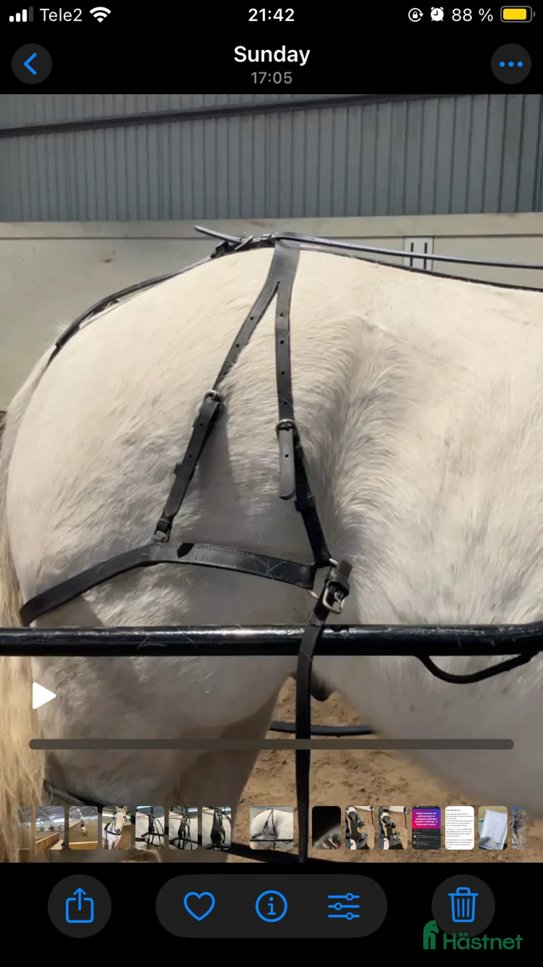 Körselar körning till salu: Drive out baksele stl cob - Annons 2