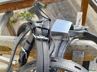 Travselar trav till salu: Wahlsten automatcheck i Umeå - Annons 7