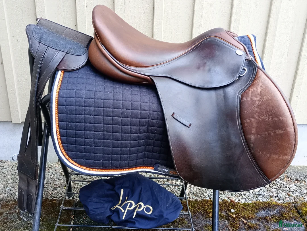 Sadlar hästutrustning till salu: Lippo Marcello - Annons 2