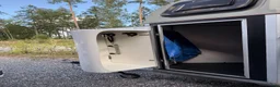 Hästtransporter  fordon & transport till salu: Välskött svart enhästarssläp - Annons 3