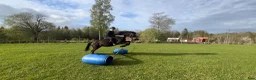  foderhäst finnes: Halv fodervärd / Medryttare  i Tenhult - Annons 3