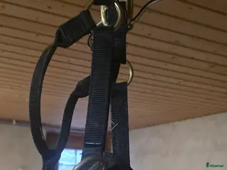 Övrig Hästutrustning hästutrustning Monty Robert grimma - Annons 2