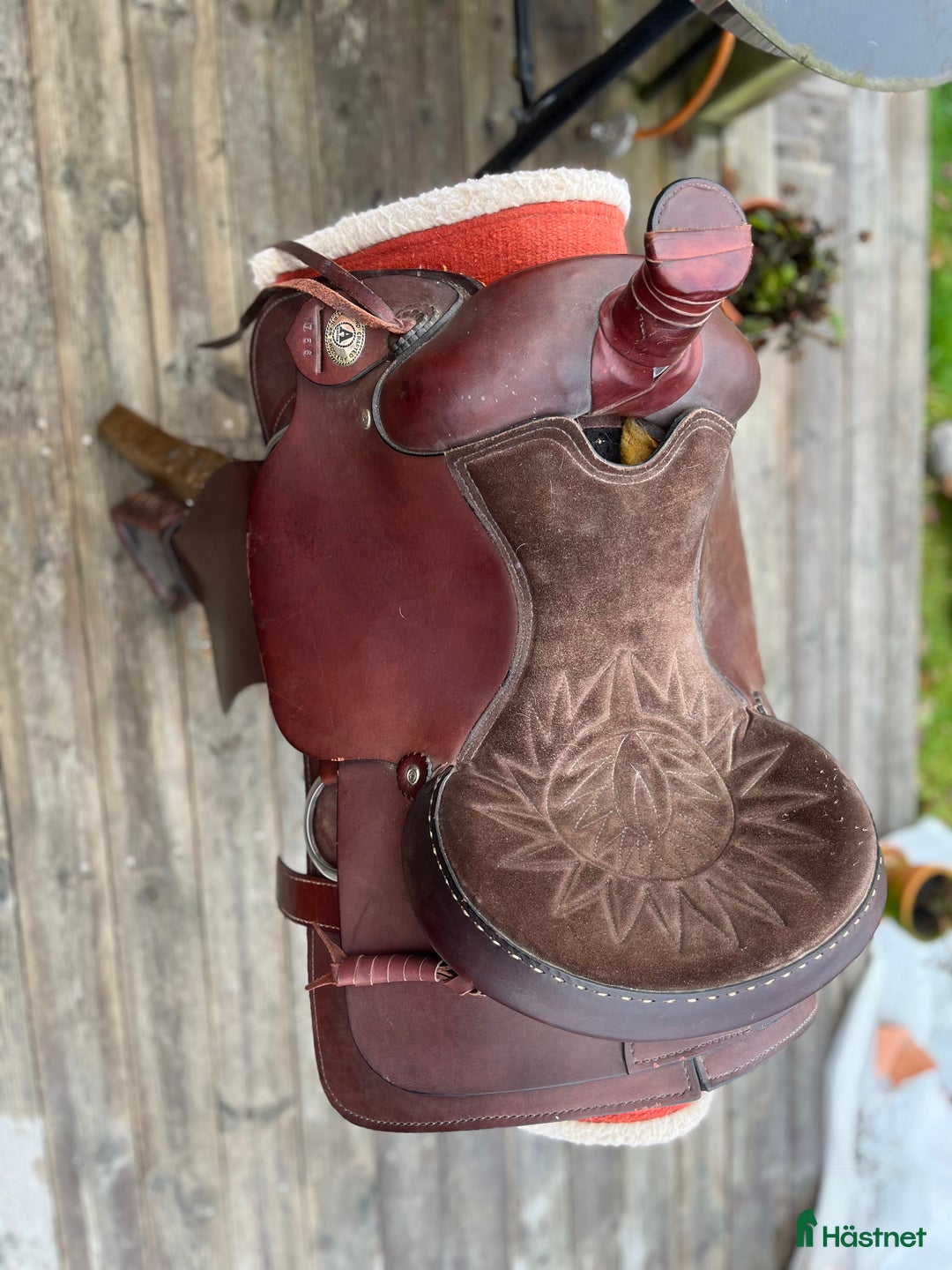 Sadlar hästutrustning till salu: Wester  sadeln  i Älmhult - Annons 4