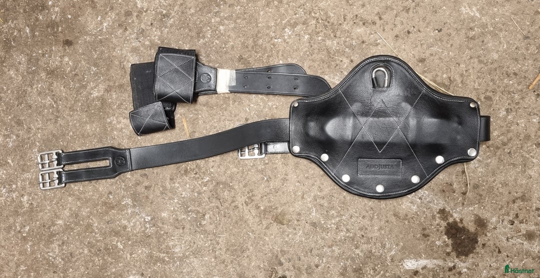 Sadeltillbehör hästutrustning till salu: Addjusta sadelgjord i Örbyhus - Annons 1