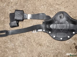 Sadeltillbehör hästutrustning till salu: Addjusta sadelgjord i Örbyhus - Annons 3