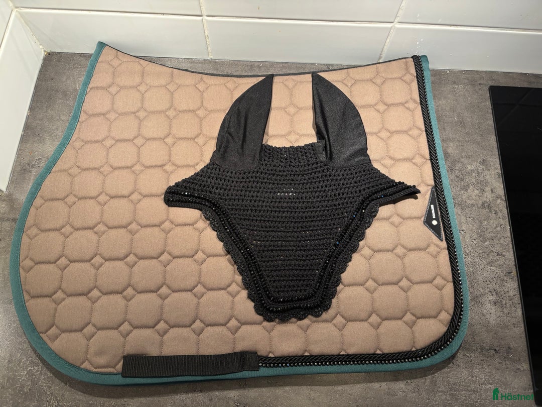 Schabrak & Vojlockar hästutrustning till salu: Helt oanvänt!  i Bro - Annons 2