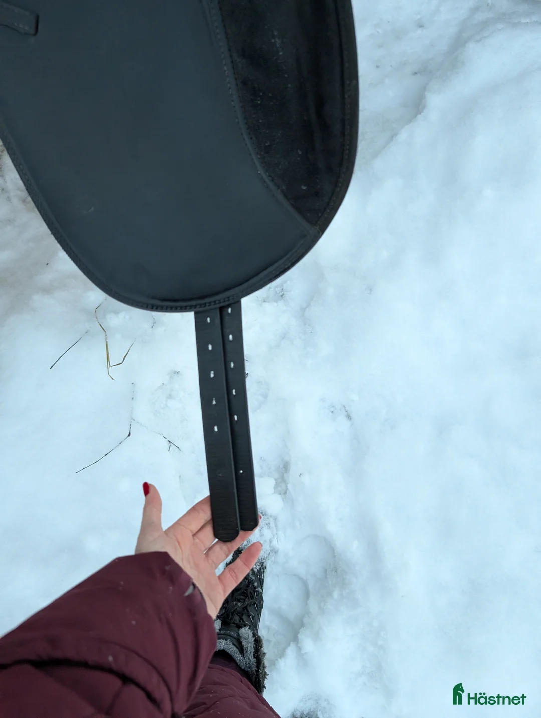 Sadlar hästutrustning till salu: Ny Knights dressyr  - Annons 2