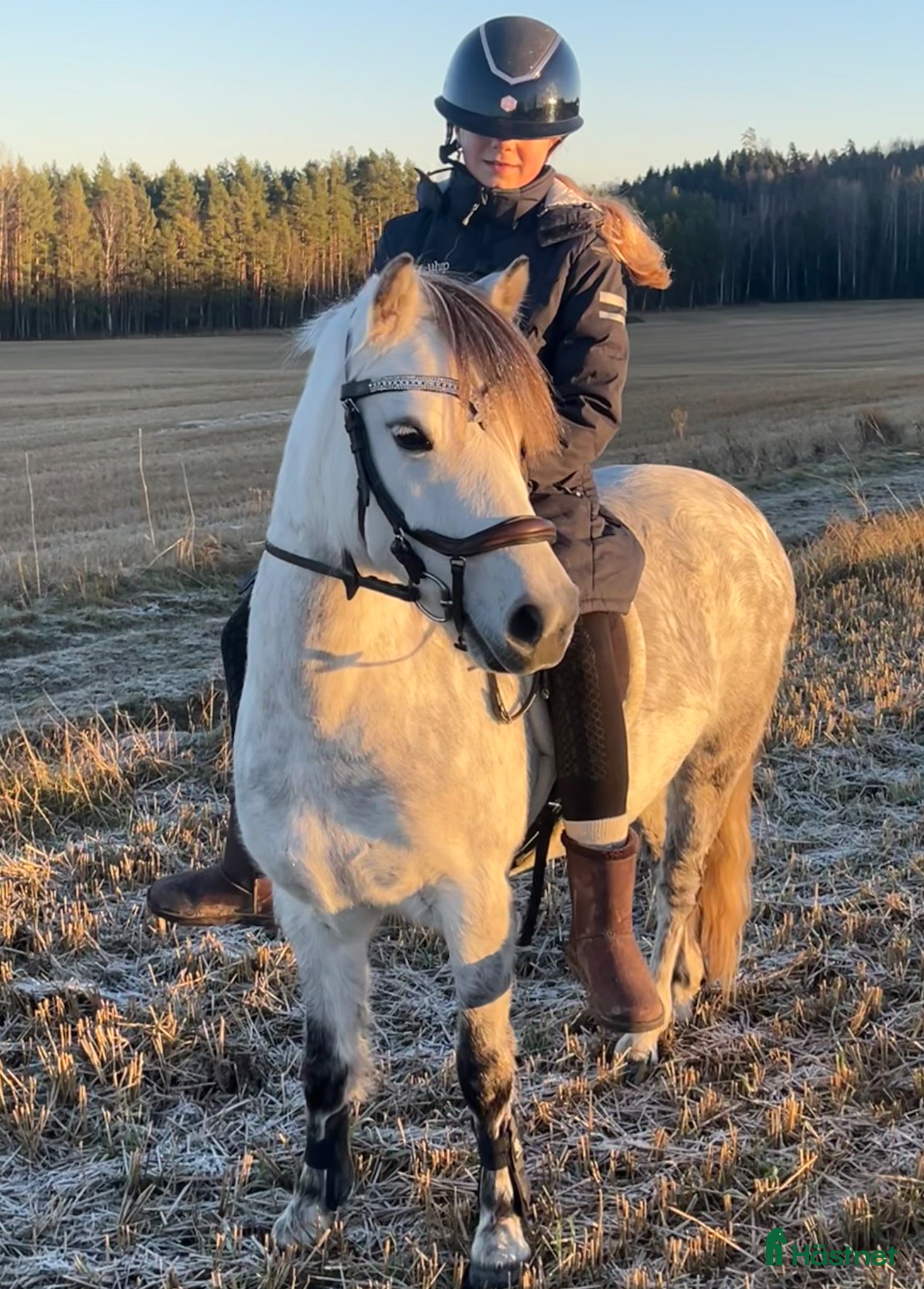  hästar Sötaste ponnyn Pippi - Annons 1