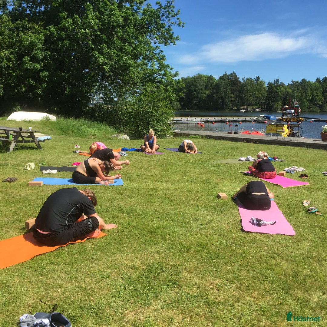 stallplats finnes: Behöver du stallplats på Ekerö?  i Skå - Annons 35