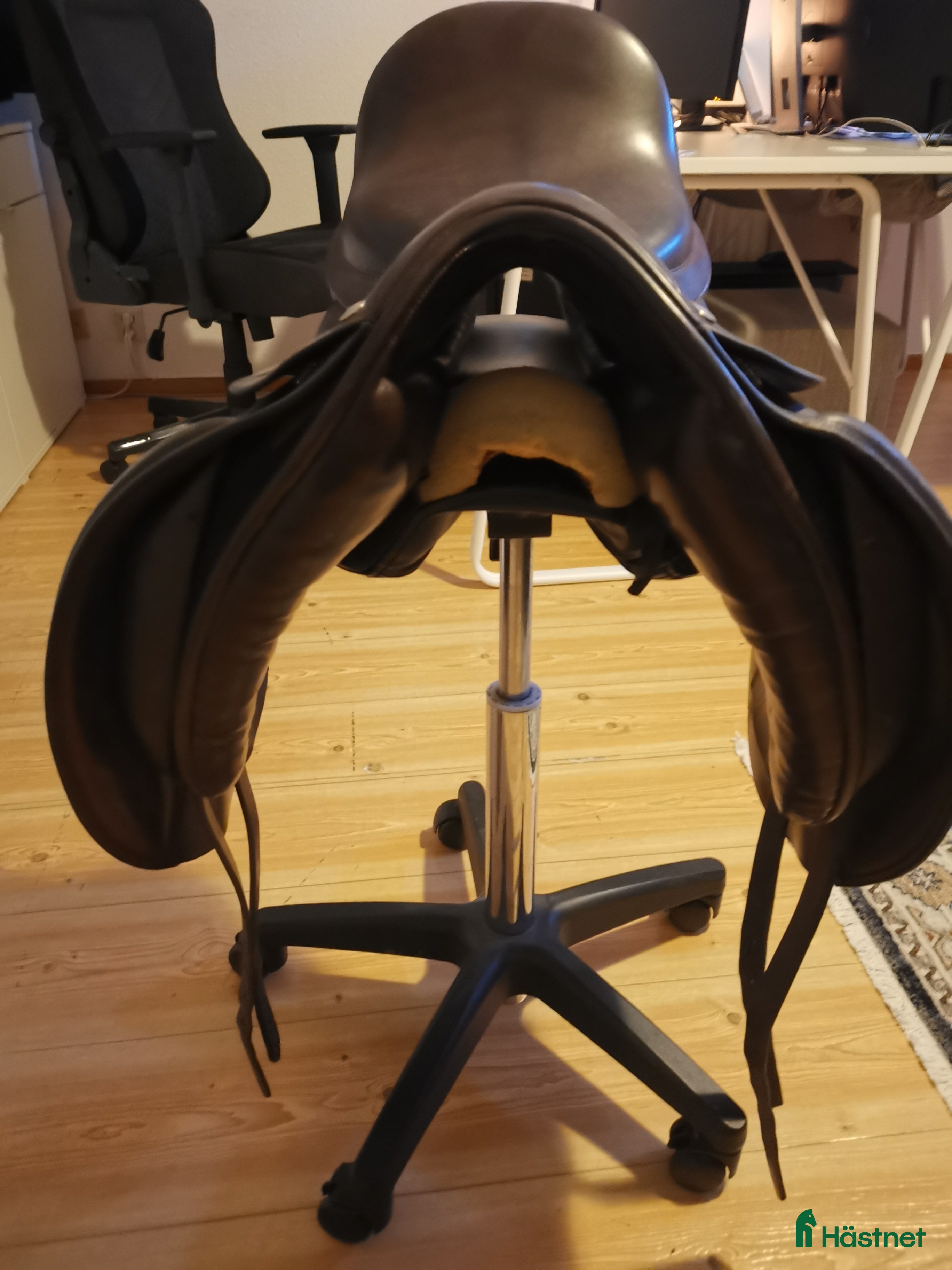 Sadlar hästutrustning Frank Baines i Norrköping - Annons 4