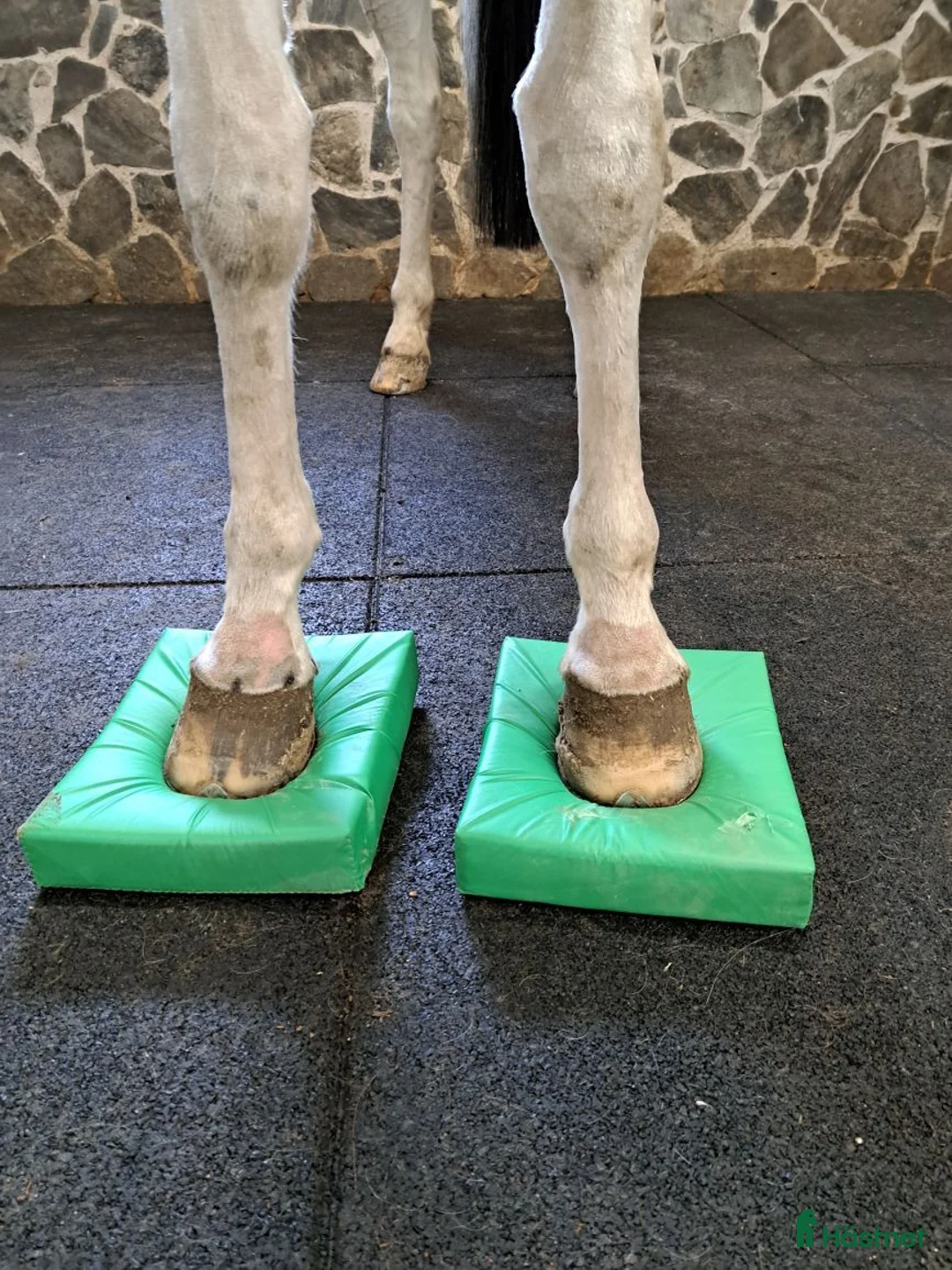  hästservice finnes: Rehabuppstallning/semesteruppstallning/inridning  i Kristdala - Annons 5