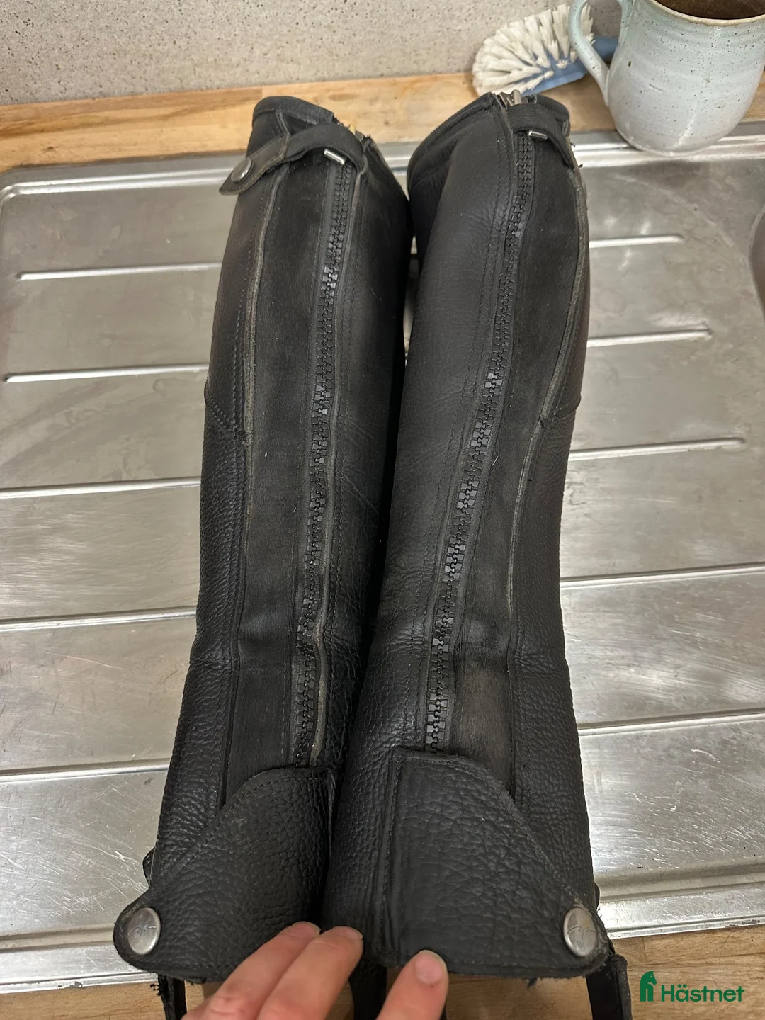 Övrig Ryttarutrustning ryttarutrustning till salu: Fina Dyón shortchaps - Annons 3