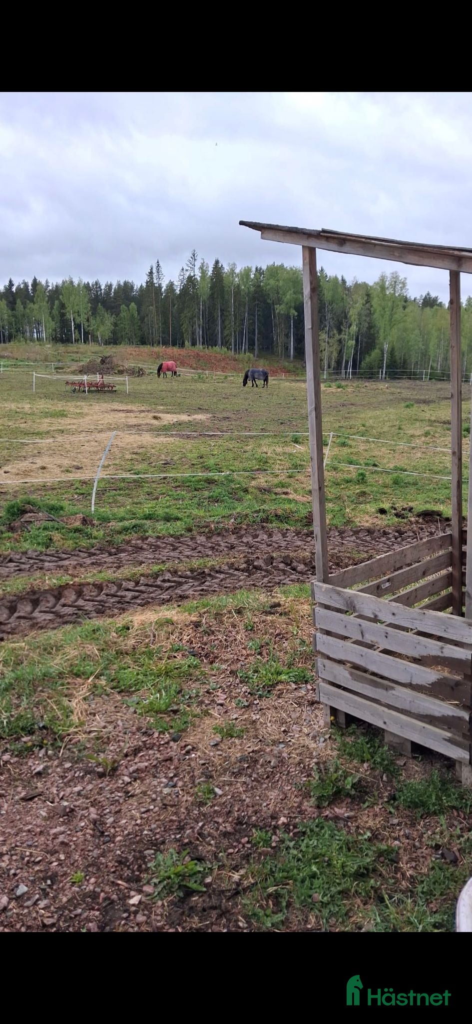  stallplats Två boxplatser och en lösdrift uthyres - Annons 18