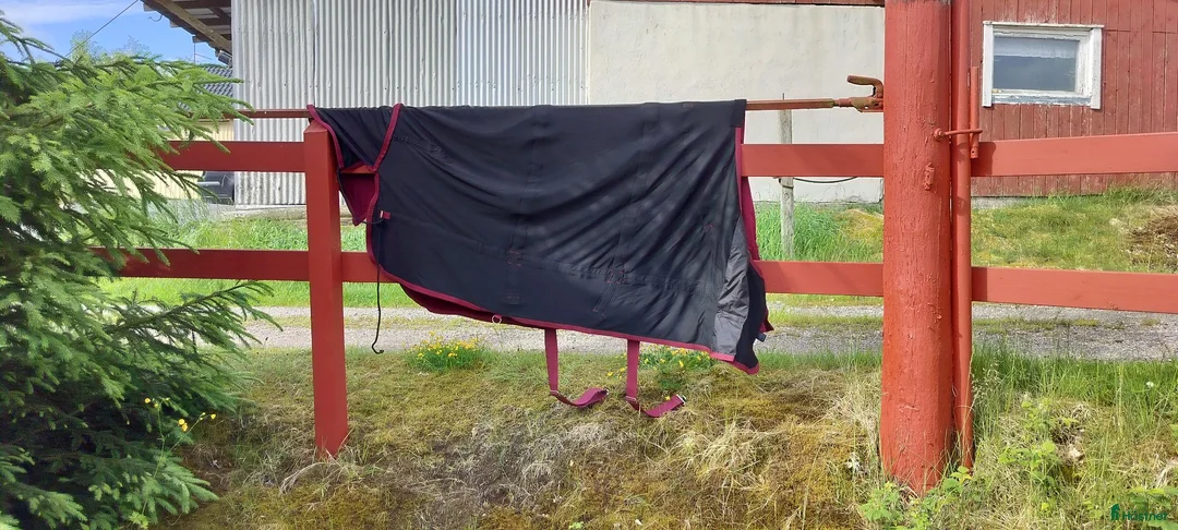 Täcken hästutrustning till salu: Back on track.  135cm - Annons 5