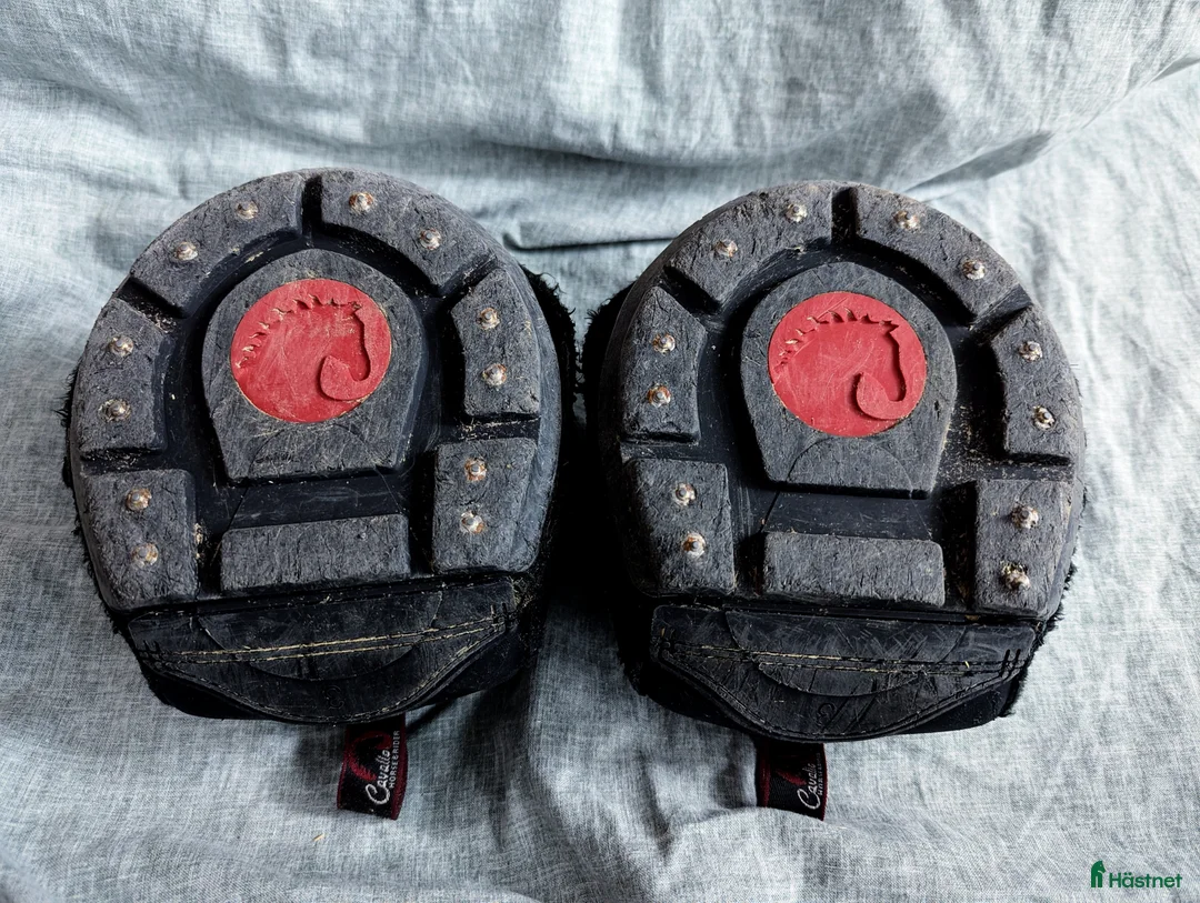 Övrig Hästutrustning hästutrustning till salu: Cavallo Trek 3 i Trångsund - Annons 3