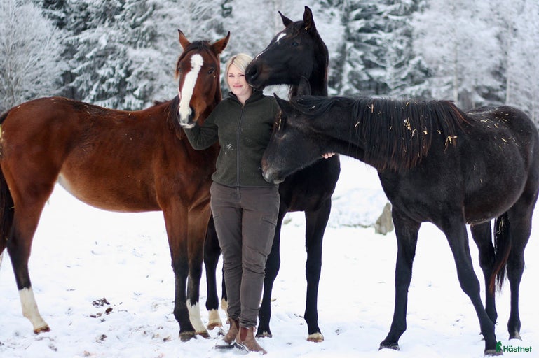 Galleribild {{count}}