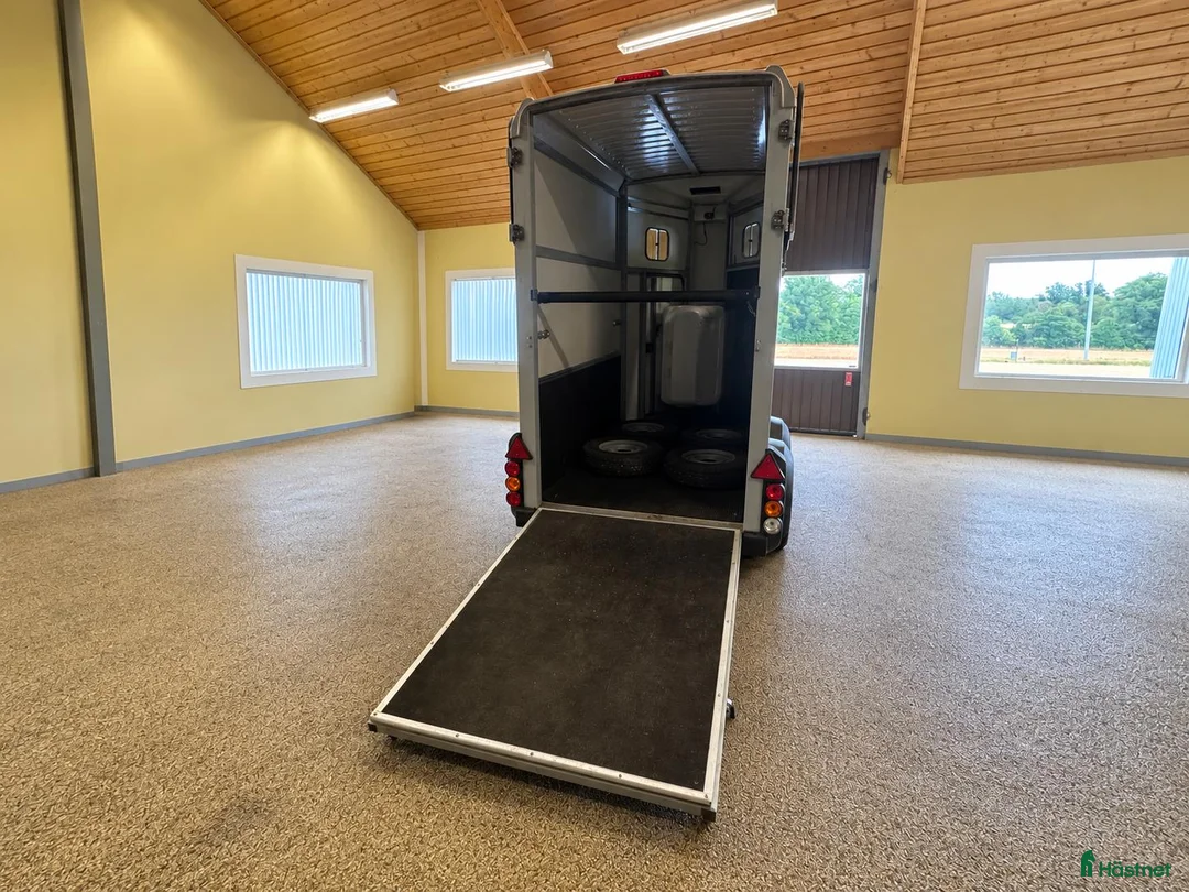 Hästtransporter  fordon & transport till salu: Ifor Williams 1,5-hästars 2019 - Annons 2