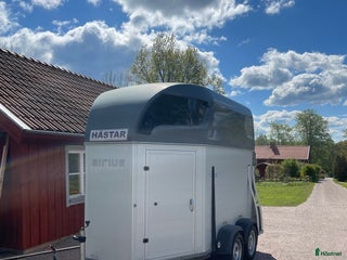 Hästtransporter fordon & transport till salu: Kanonfin Hästransport i Tvärred - Annons 1