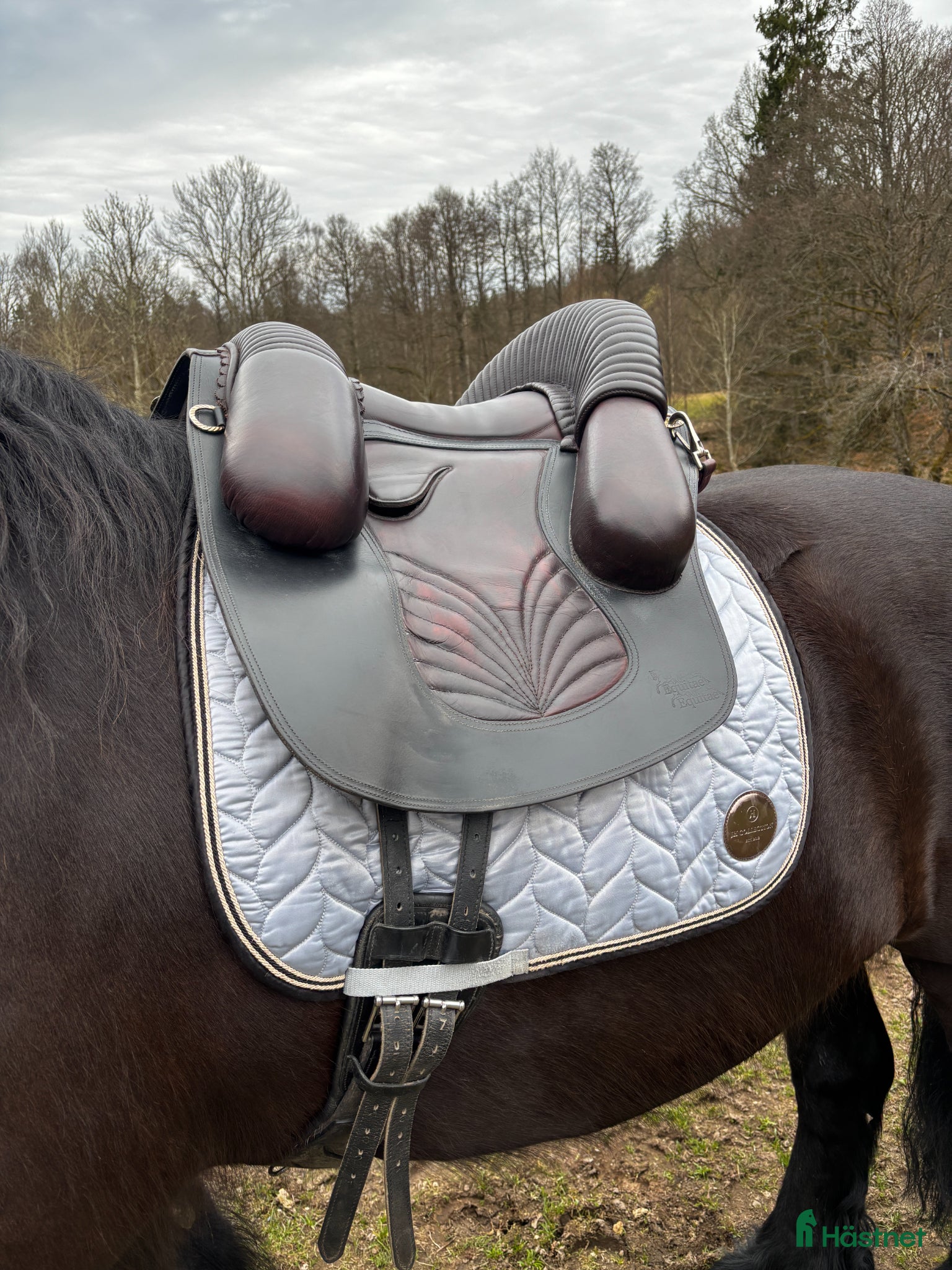 Sadlar hästutrustning Cool akademisk sadel  - Annons 1