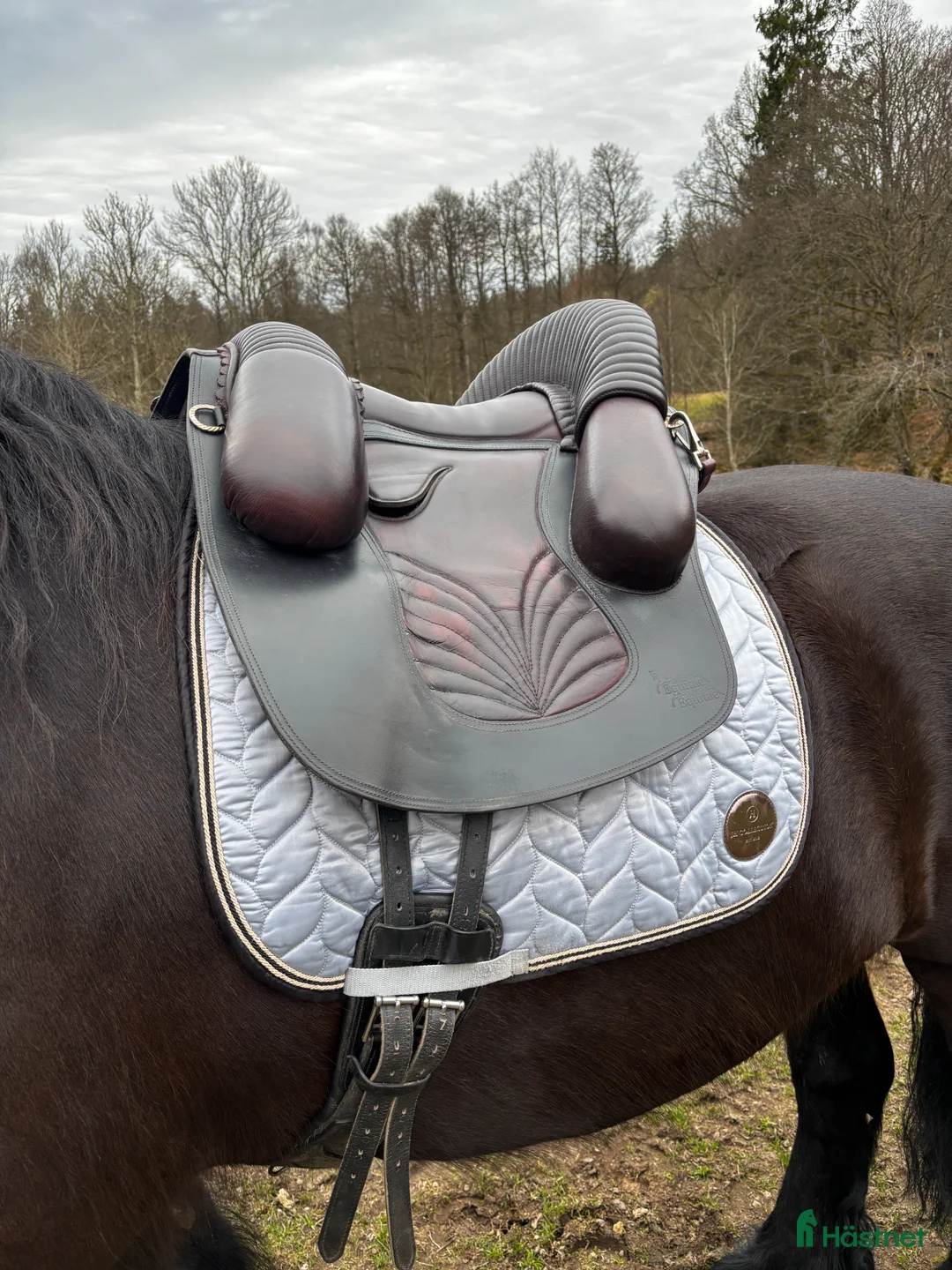Sadlar hästutrustning till salu: Cool akademisk sadel  i Asarum - Annons 1