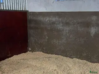 stallplats Litet stall Huddinge i Segeltorp - Annons 4