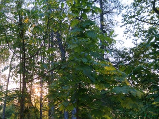 hästgårdar till salu i Enköping - Annons 1