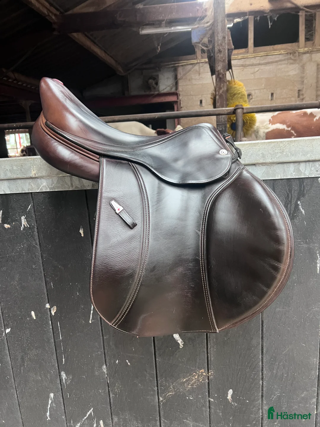 Sadlar hästutrustning till salu: Equipe EKEVO  i Rimforsa - Annons 2