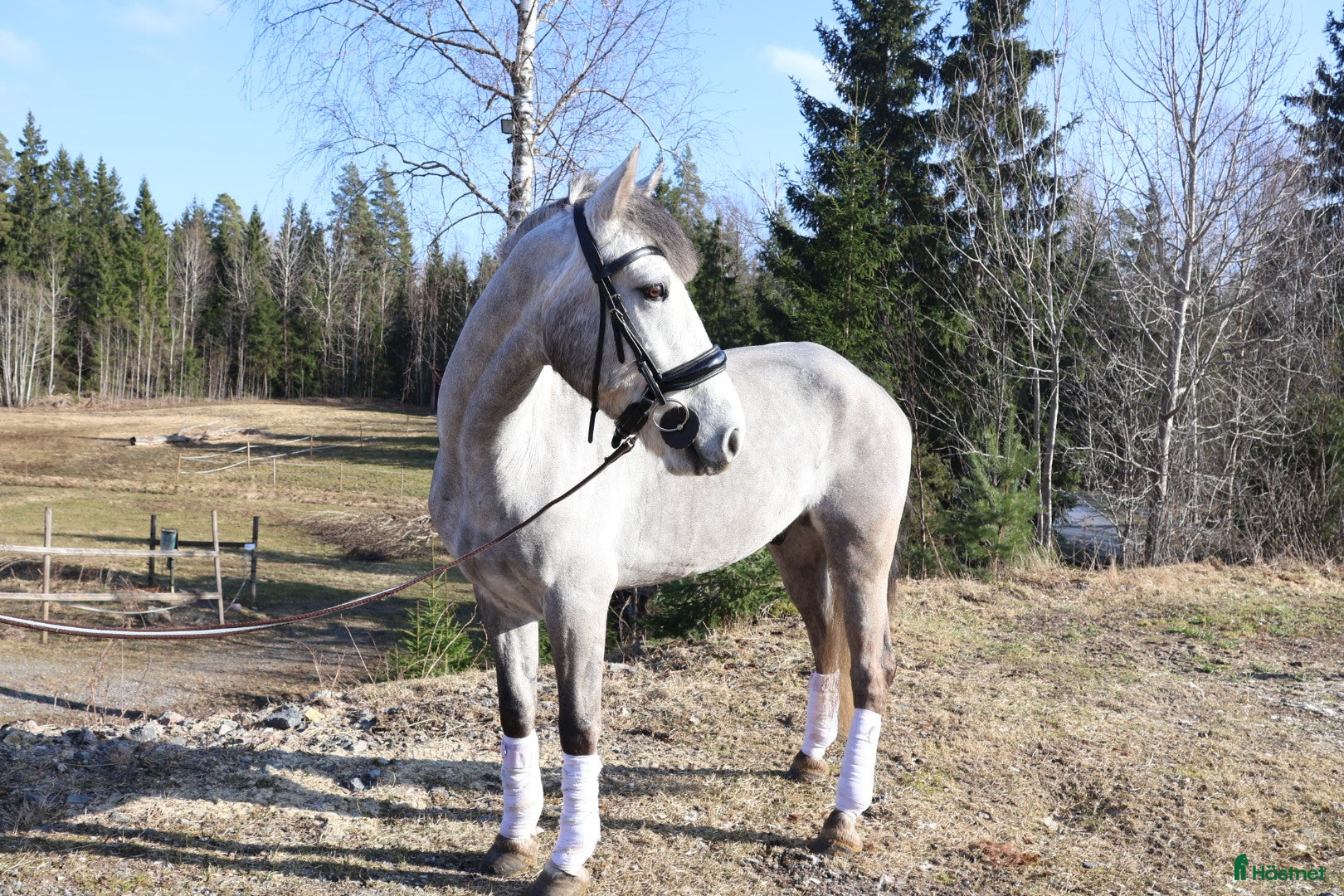  hästar 🌟🌟RIDSKOLA🌟🌟/ NYBESIKTAD! - Annons 1