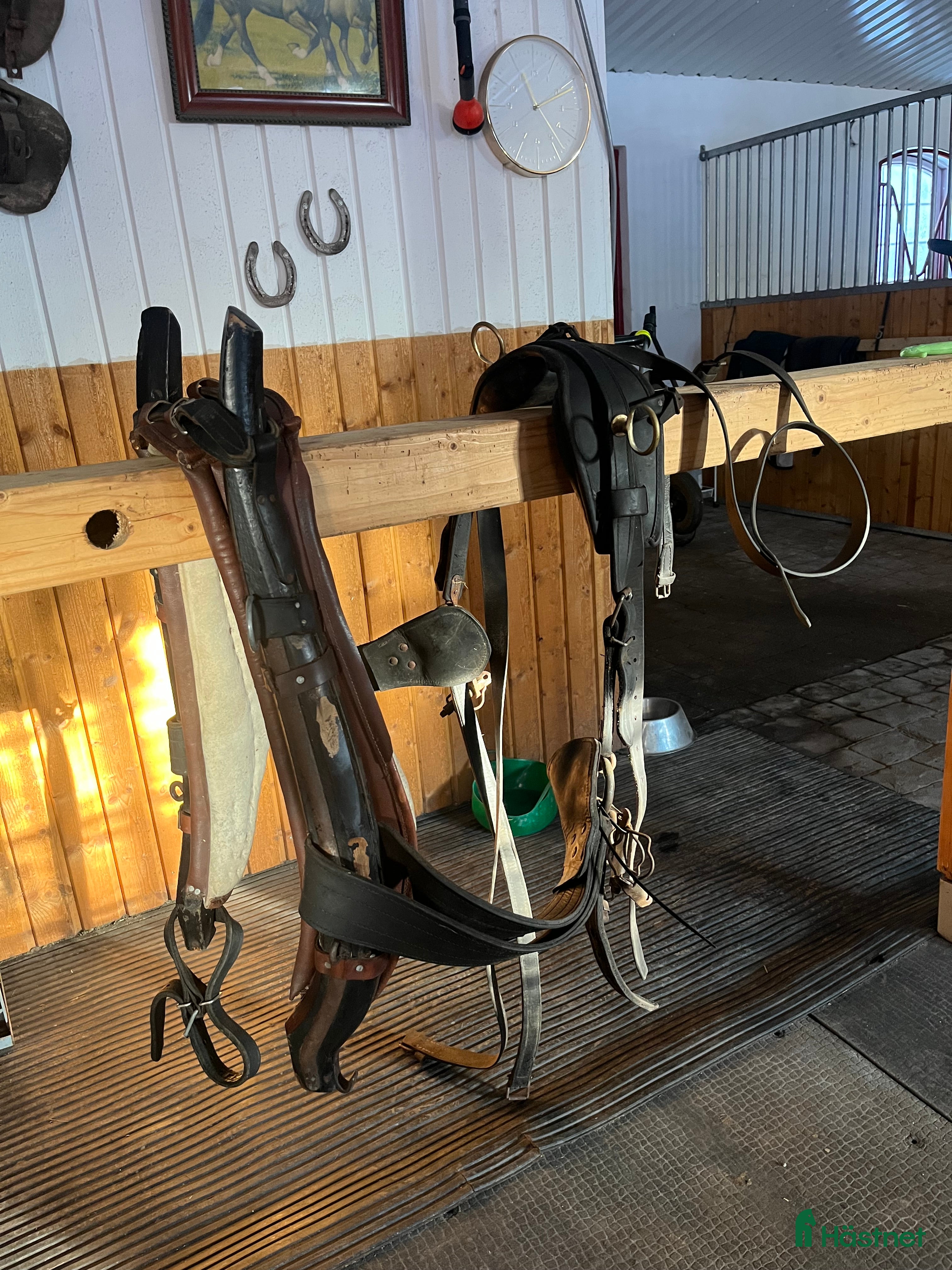 Körselar körning till salu: Loksele i Ljungby - Annons 1