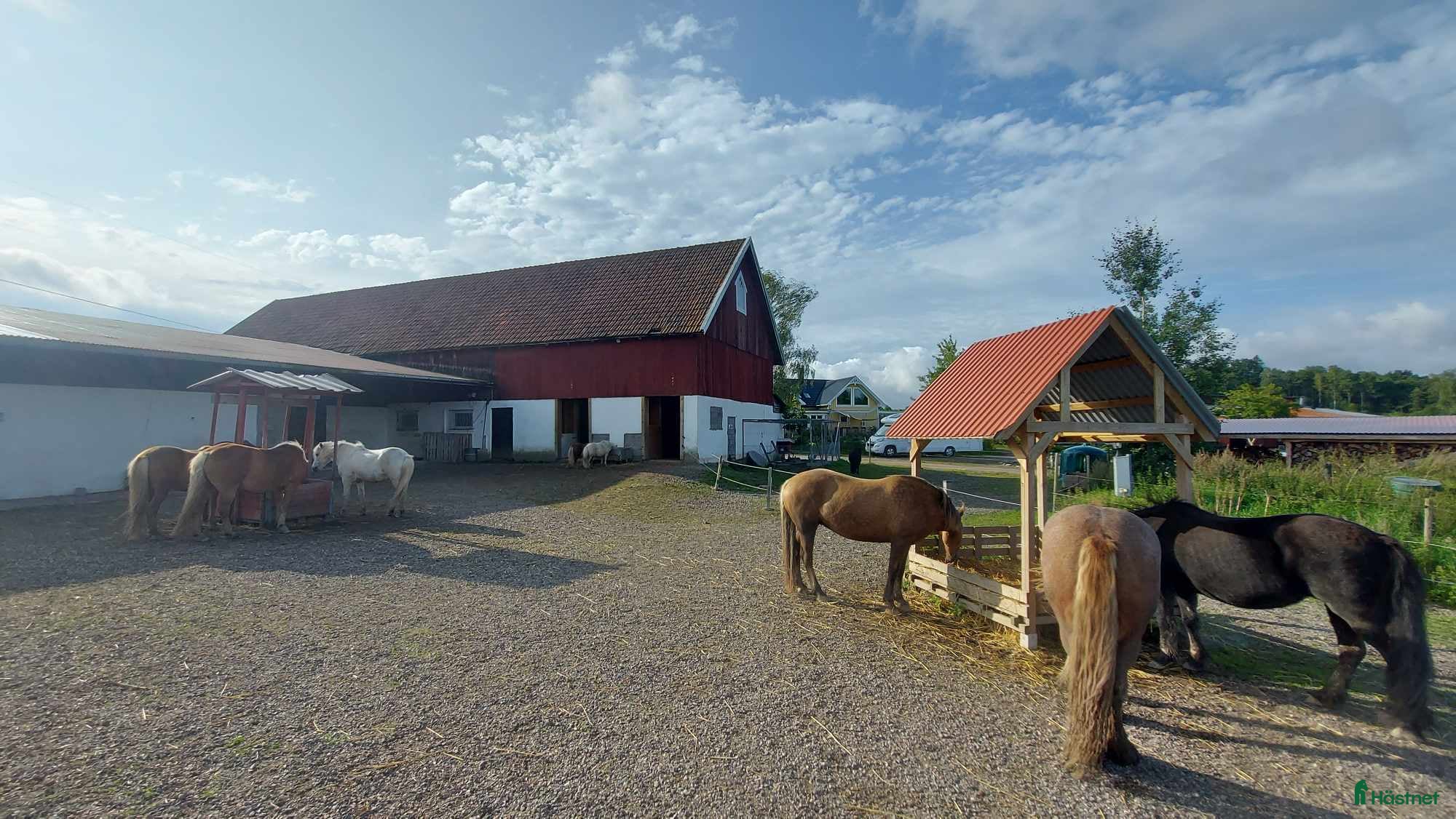  stallplats Lösdriftsplats i Sjuntorp i Sjuntorp - Annons 20