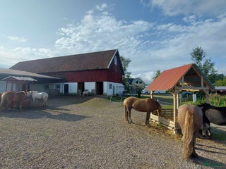 stallplats Lösdriftsplats i Sjuntorp i Sjuntorp - Annons 17