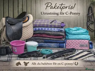 Övrig Hästutrustning hästutrustning Full utrustning till C-ponny – perfekt startpaket! - Annons 1