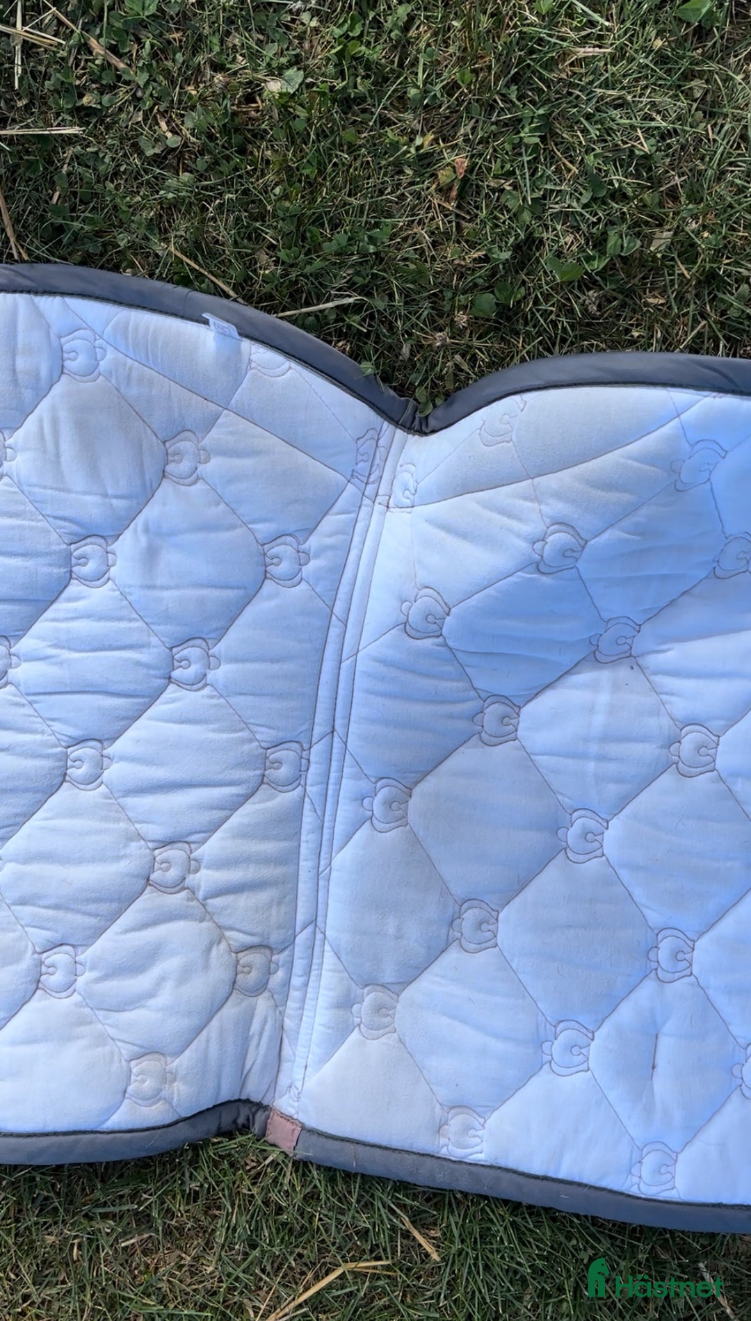 Schabrak & Vojlockar hästutrustning till salu: Ps schabrak och ES schabrak storlek ponny och cob  i Motala - Annons 2