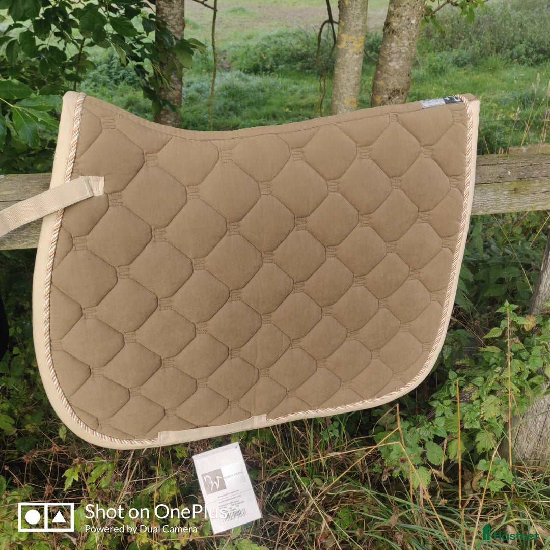 Sadlar hästutrustning till salu: Allround Sadel i Österbybruk - Annons 7