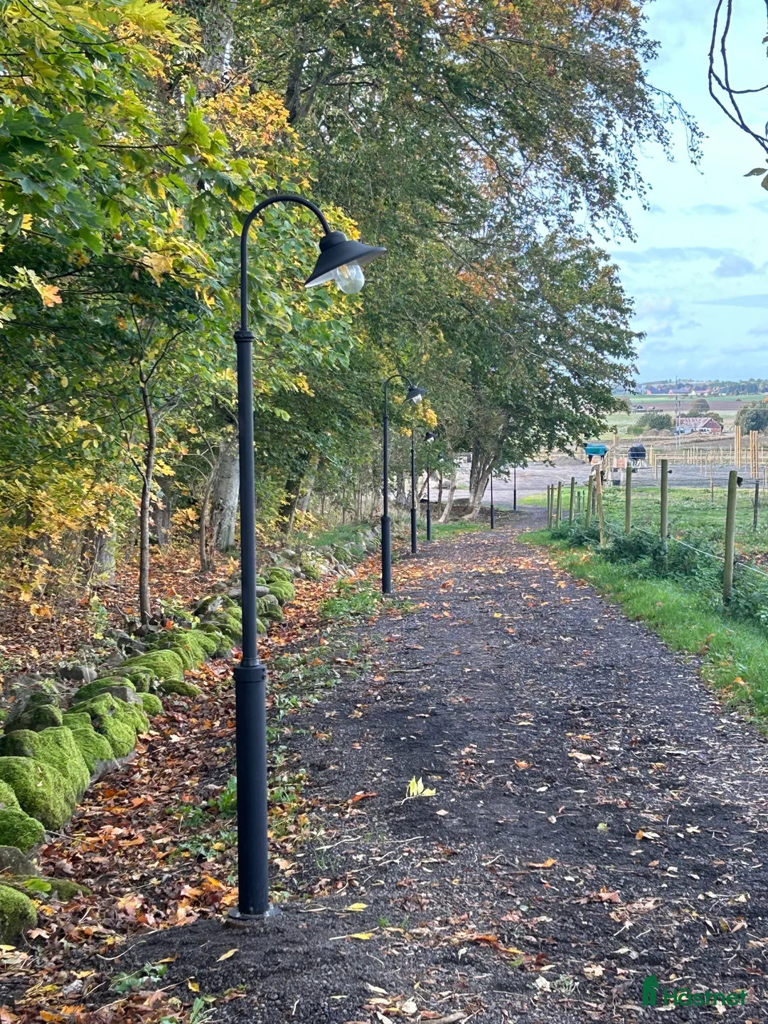  stallplats finnes: Stallplats Eslöv med service i Eslöv - Annons 3