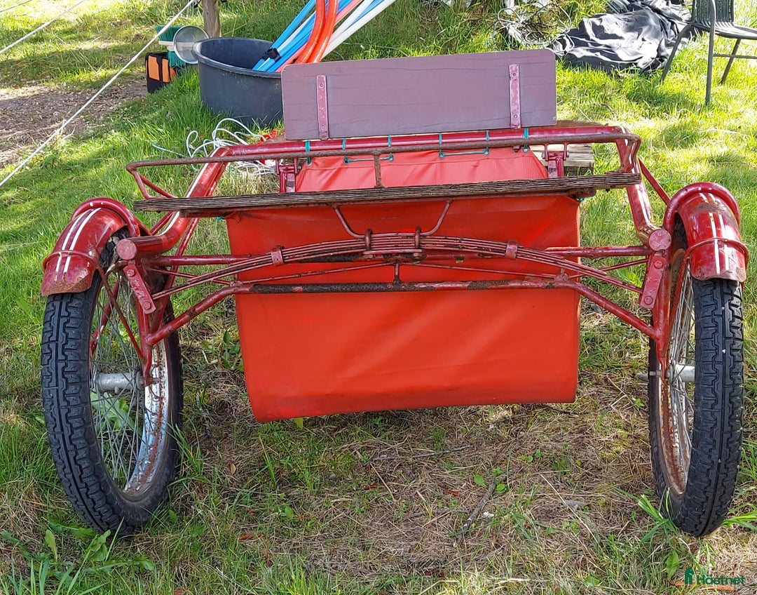 Körvagnar körning till salu: Stabil Rockard  i Sandhult - Annons 2