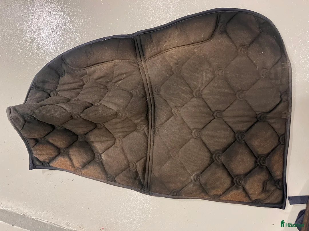 Schabrak & Vojlockar hästutrustning till salu: Hoppschabrak  i Stockholm - Annons 3