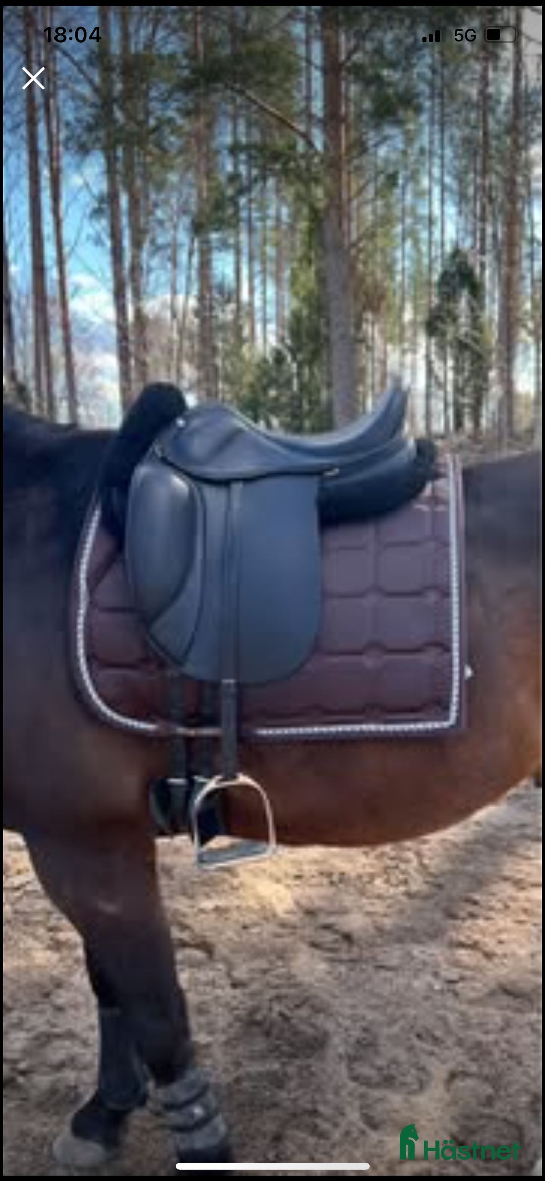 Sadlar hästutrustning till salu: Töltsaga supreme 17 tum  i Gävle - Annons 4