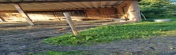  stallplats finnes: Plats i lösdrift  - Annons 8