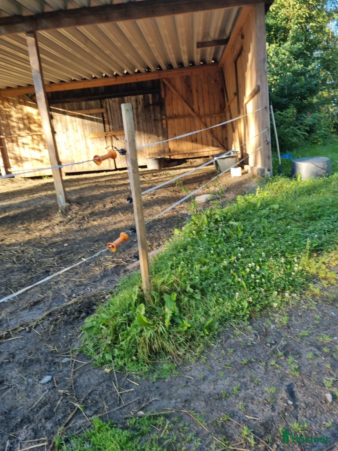  stallplats finnes: Plats i lösdrift  - Annons 8