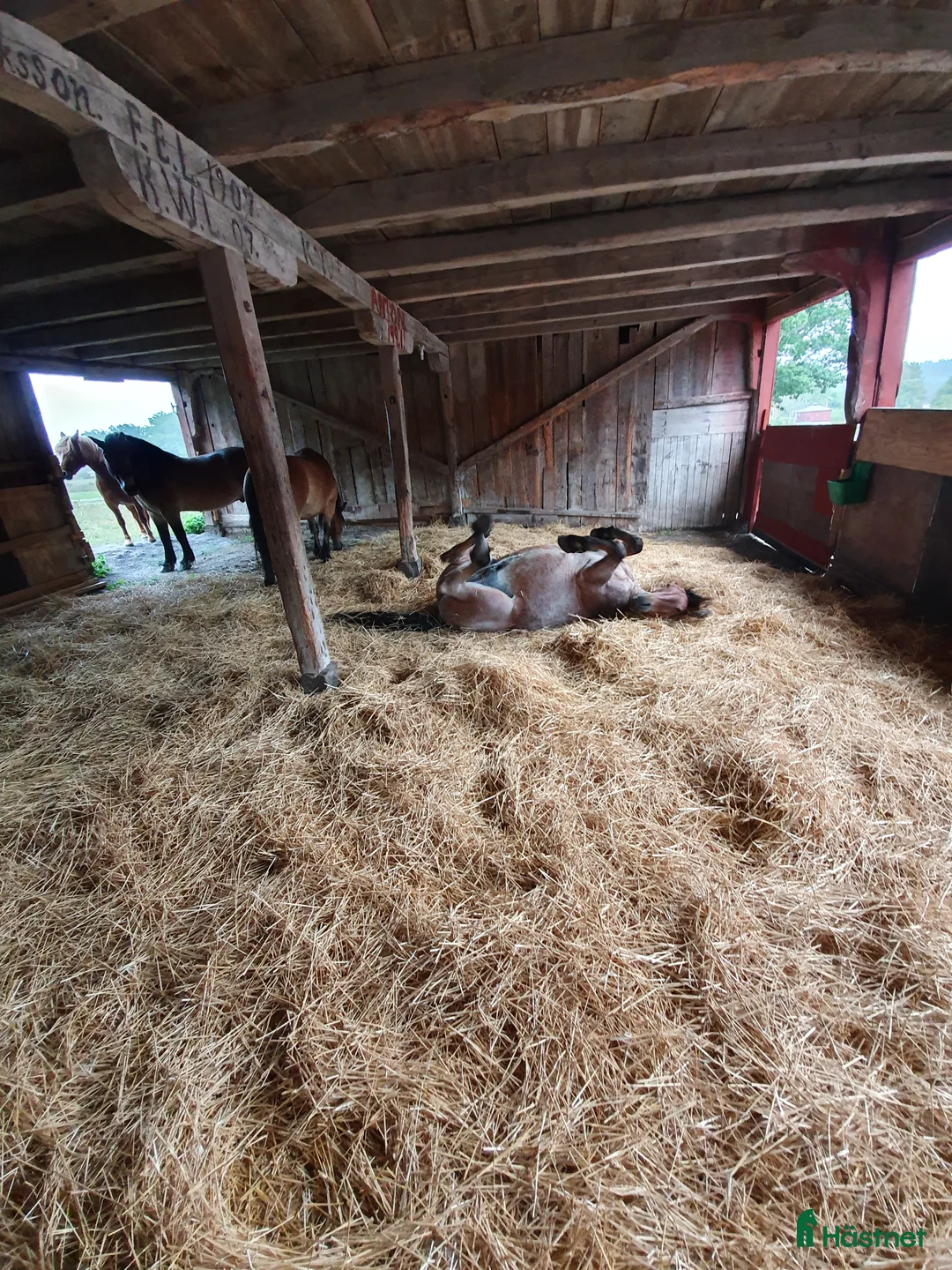  lägenhet till salu: Uthyres på Hästgård - Annons 9