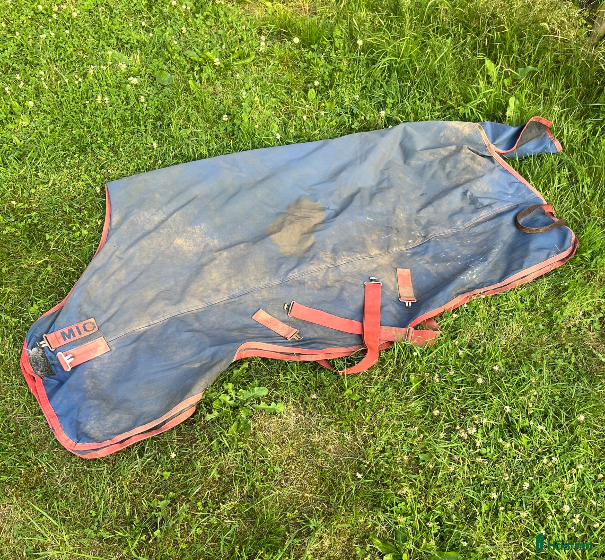 Täcken hästutrustning Horseware täcken - Annons 20
