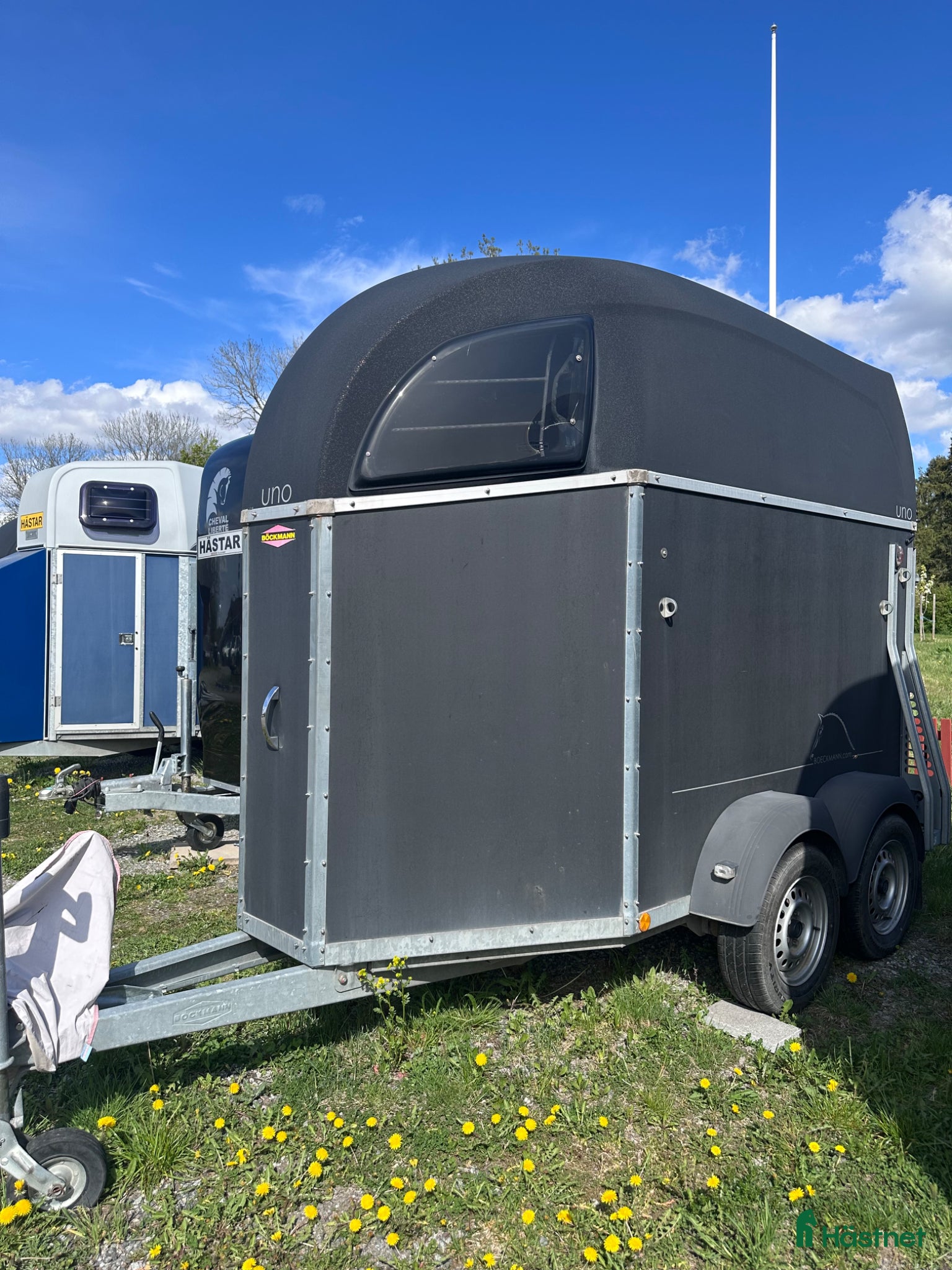 Hästtransporter  fordon & transport till salu: Böckmann Uno Upptypad  - Annons 2