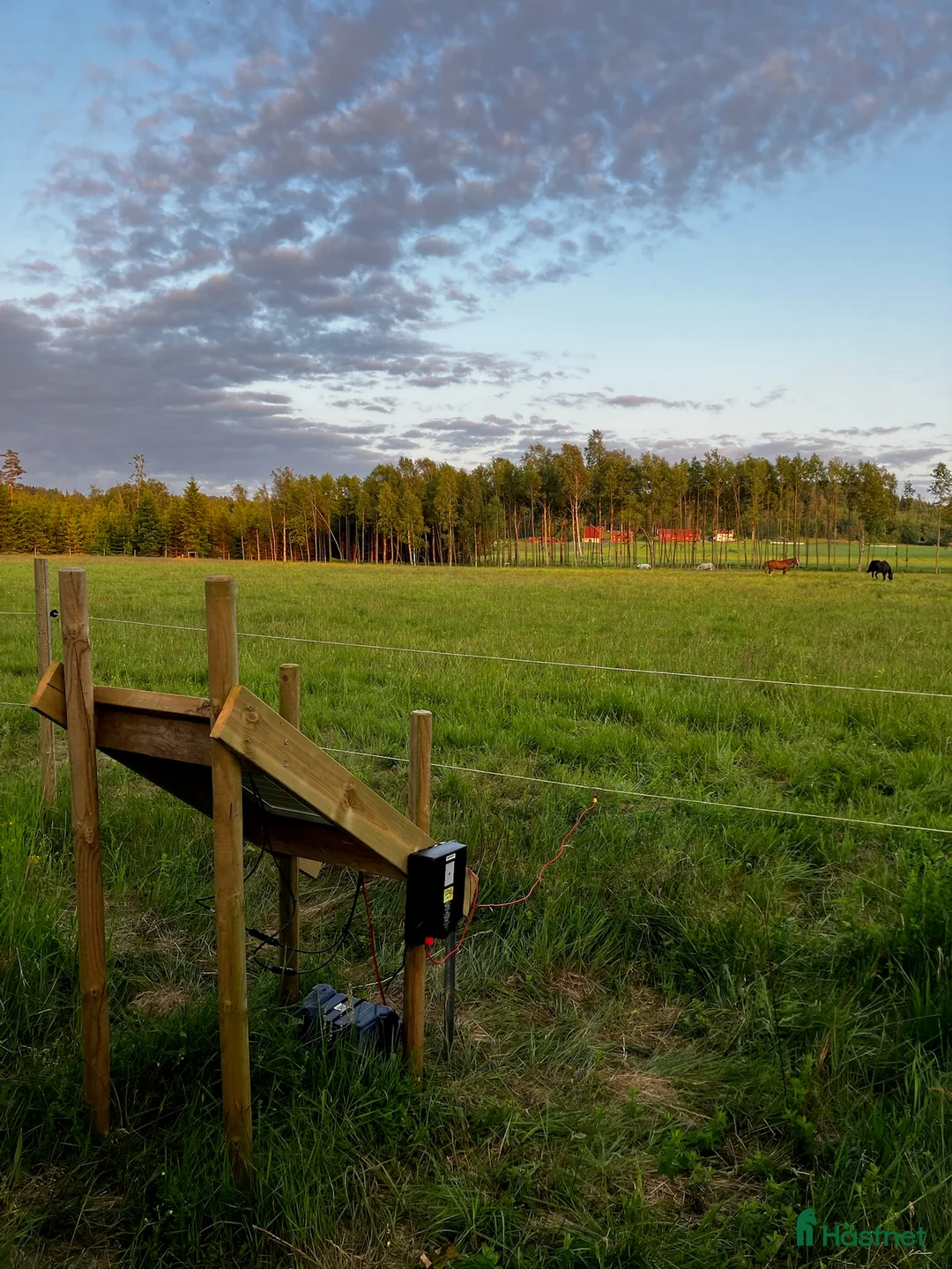  stallplats finnes: Lediga stallplatser på mysig gård nära Backamo i Ljungskile - Annons 4