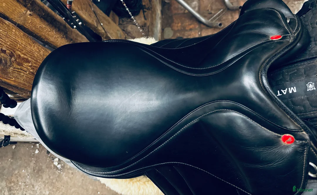 Sadlar hästutrustning till salu: Karlslund c - Annons 2