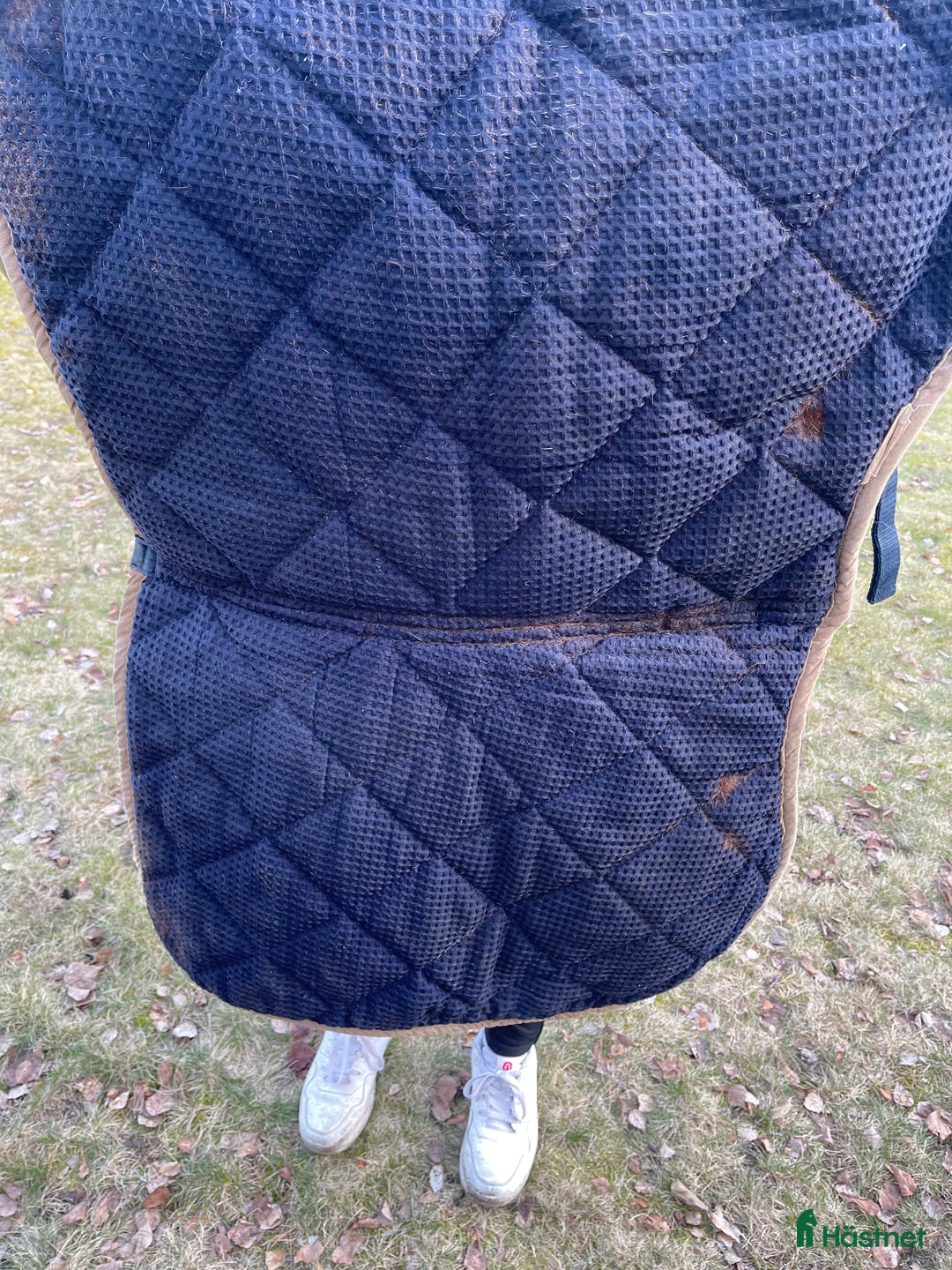 Schabrak & Vojlockar hästutrustning till salu: Schabrak+huva i Norrköping - Annons 3