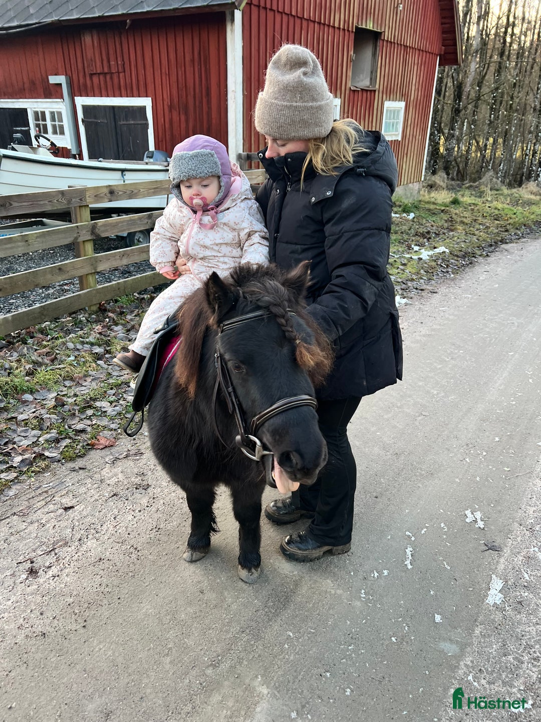 Allround hästar till salu: Världens sötaste tjej i Värnamo - Annons 2