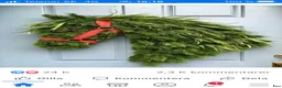 Island hästar till salu: Trygg, snygg 2-årig islandshingst till salu! - Annons 1