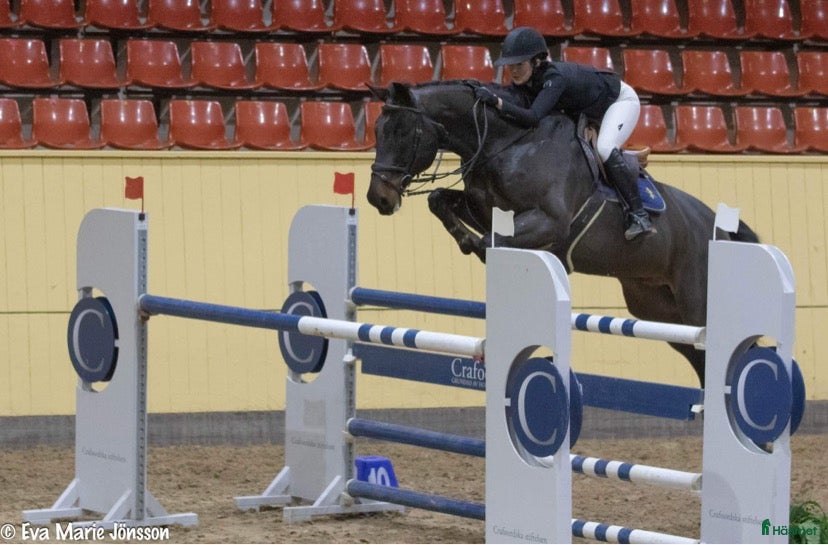  hästjobb Plats i stallet för häst i träning!  i Allerum - Annons 18